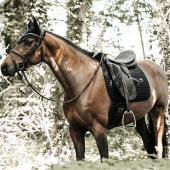 Czaprak ujeżdżeniowy Pearls Czarny Czaprak ujeżdżeniowy Pearls Czarny