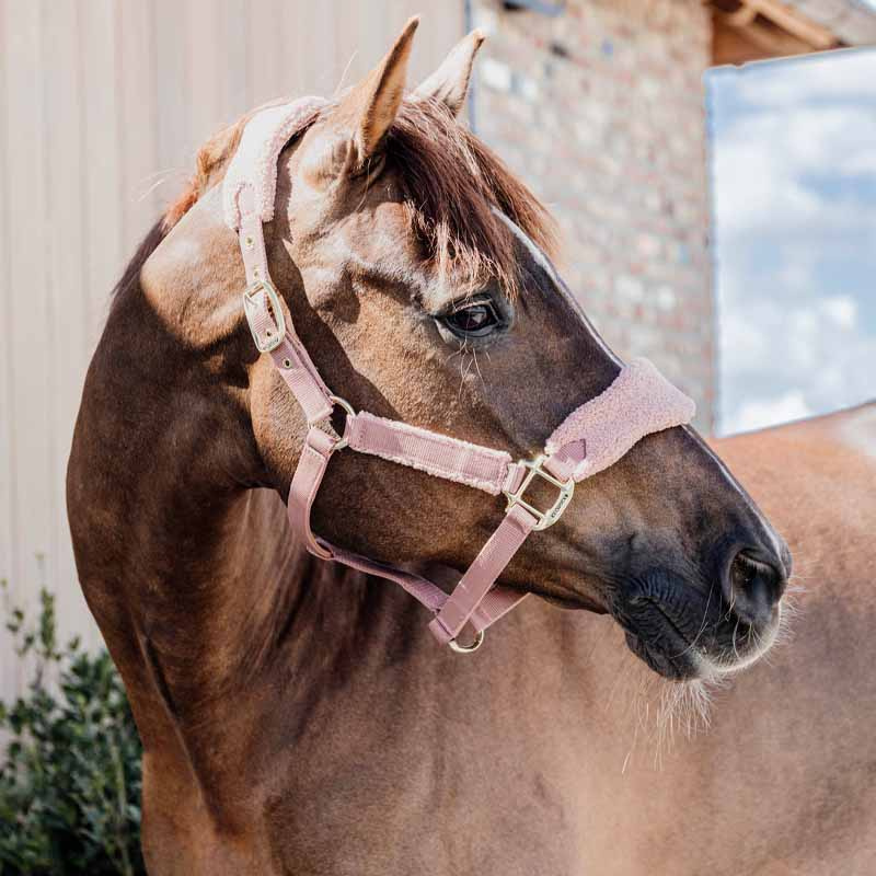 Kantar Teddy Fleece Stary Róż