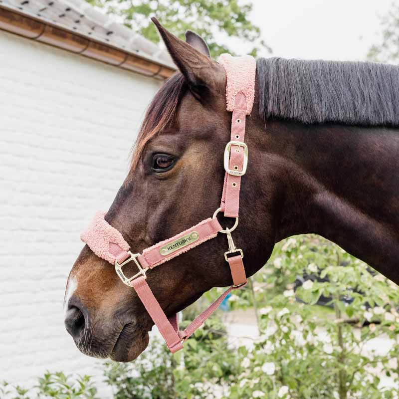 Kantar Teddy Fleece Stary Róż