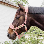 Kantar Teddy Fleece Stary Róż Kantar Teddy Fleece Stary Róż