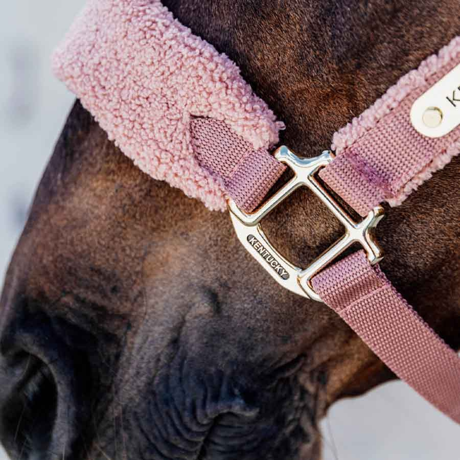 Kantar Teddy Fleece Stary Róż