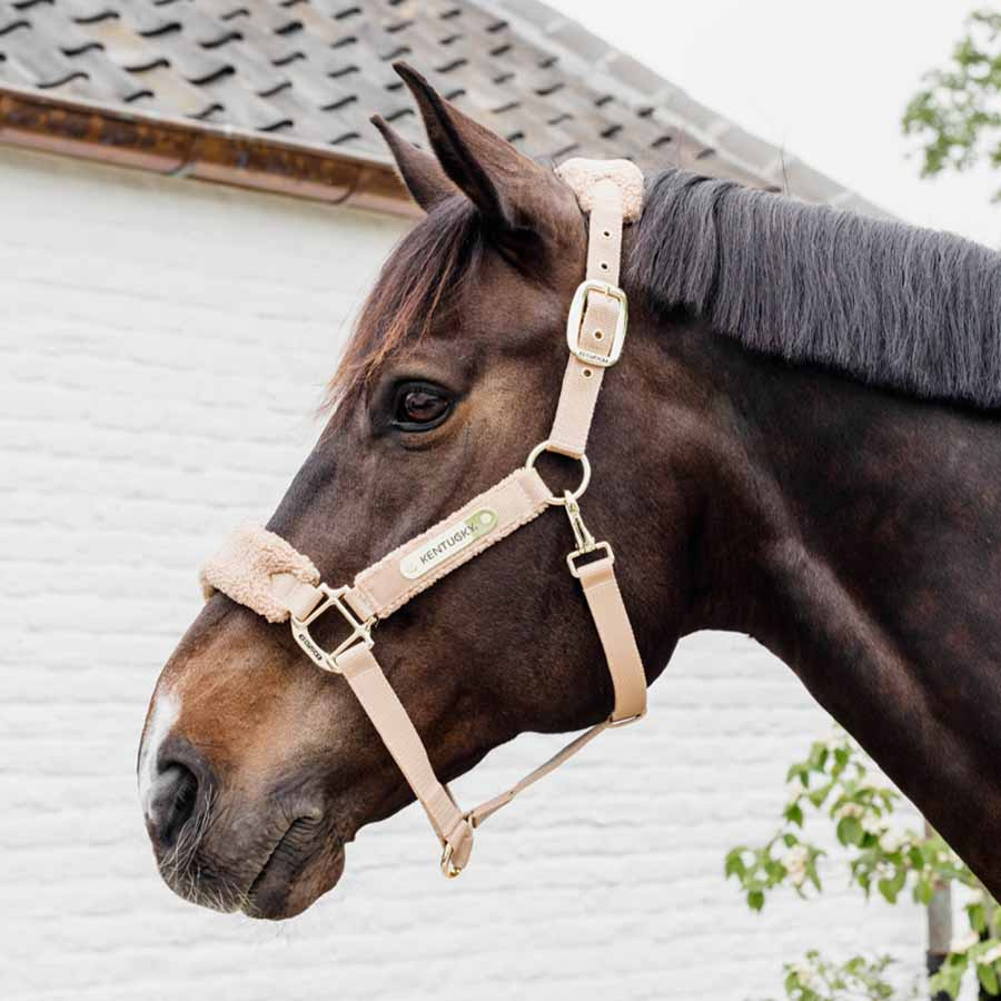 Kantar Teddy Fleece Beżowy