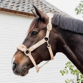 Kantar Teddy Fleece Beżowy Kantar Teddy Fleece Beżowy