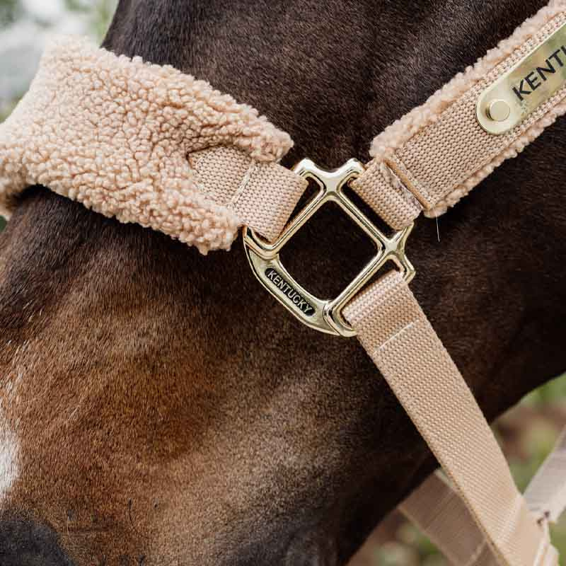 Kantar Teddy Fleece Beżowy