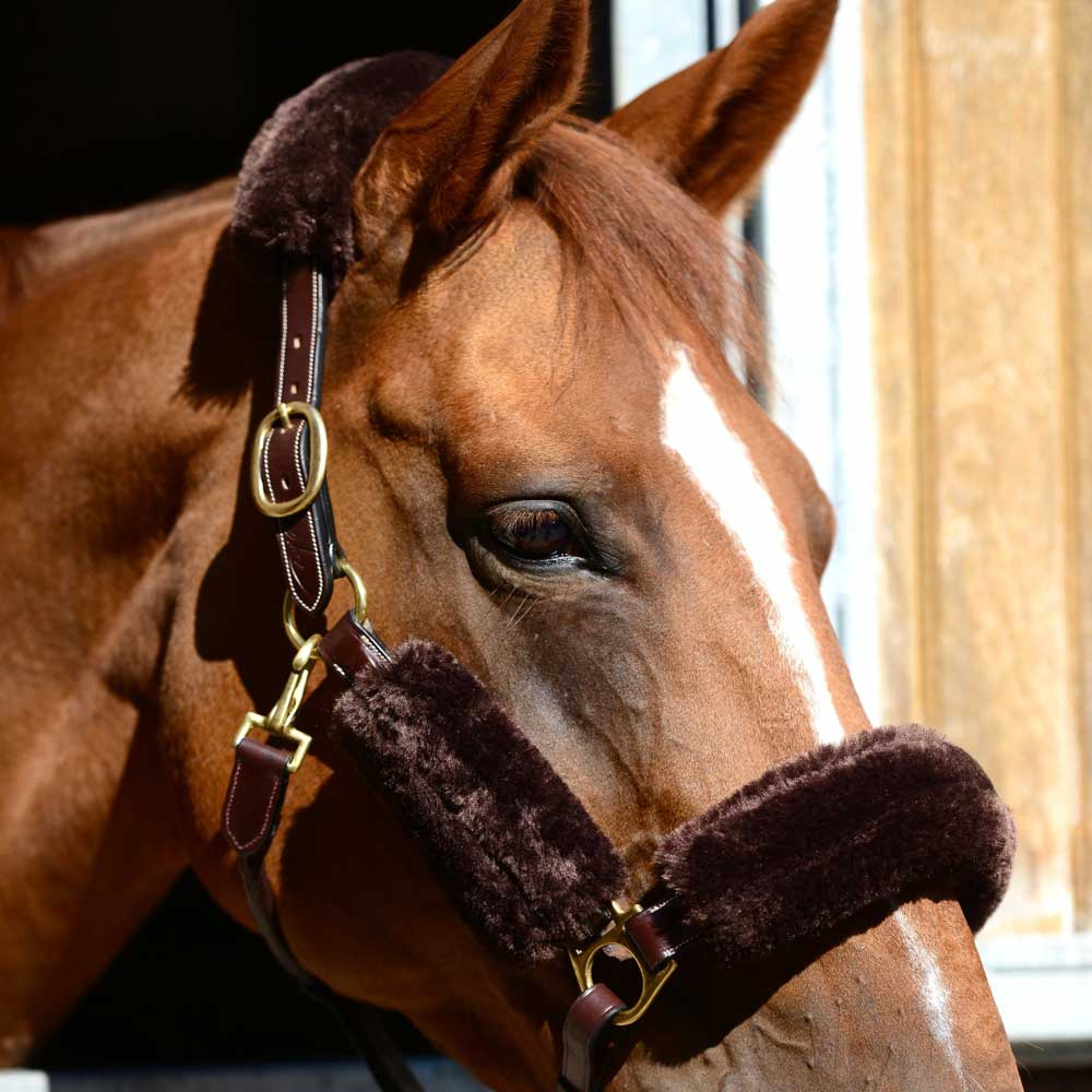 Zestaw futerek na kantar Sheepskin-set Brązowy