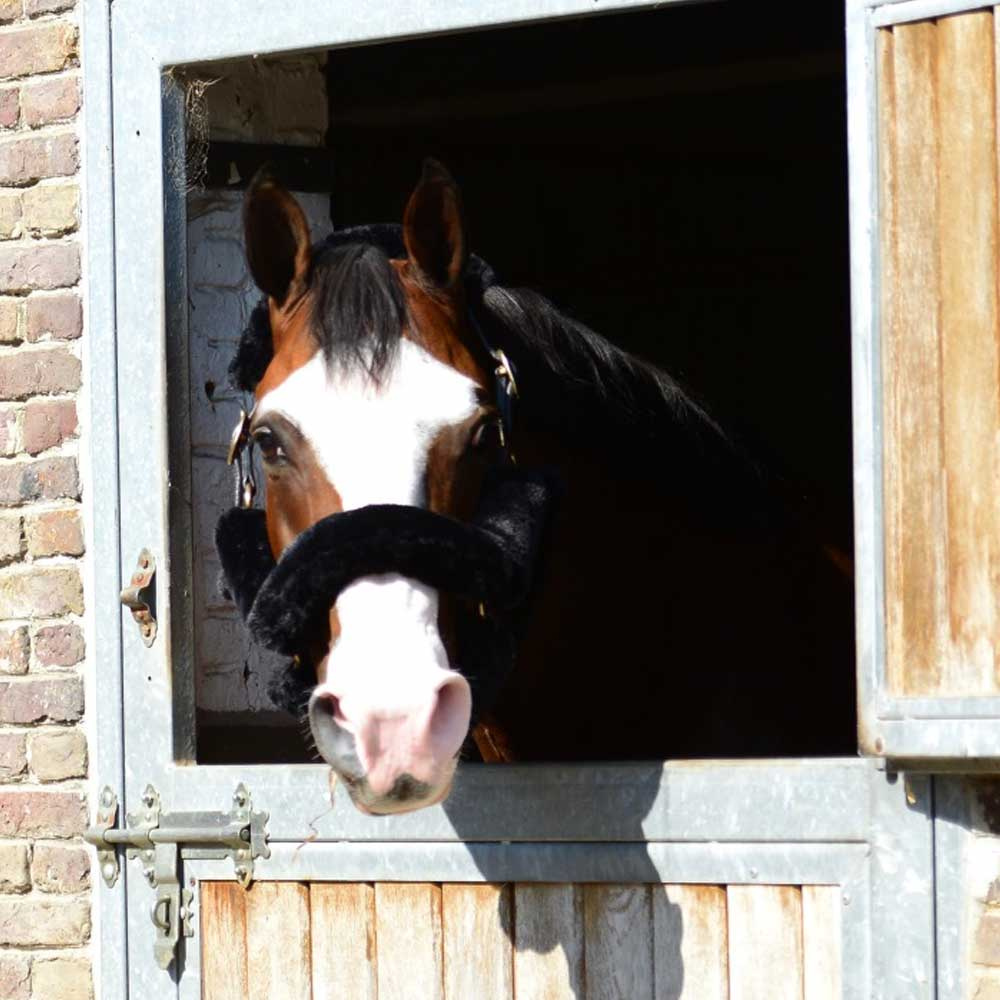 Zestaw futerek na kantar Sheepskin-set Czarny