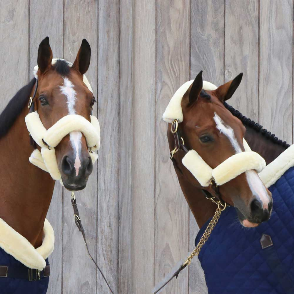 Zestaw futerek na kantar Sheepskin-set Czarny