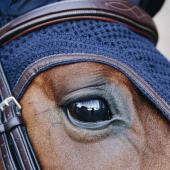 Nauszniki Wellington Leather Soundless Granatowe Nauszniki Wellington Leather Soundless Granatowe