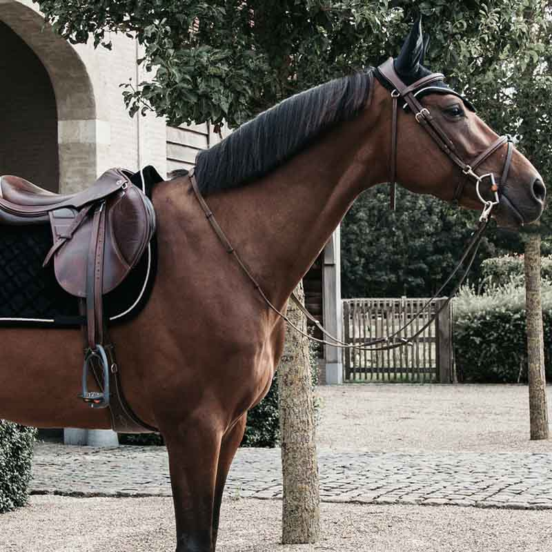 Nauszniki Wellington Corduroy Czarne