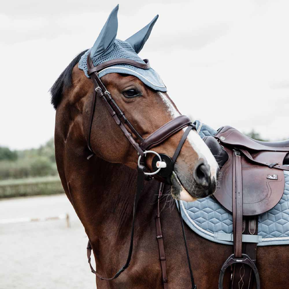 Nauszniki Wellington Velvet Błękitne