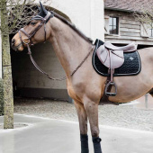 Nauszniki Wellington Basic Velvet Czarne Nauszniki Wellington Basic Velvet Czarne