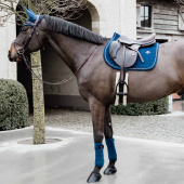 Nauszniki Wellington Basic Velvet Granatowe Nauszniki Wellington Basic Velvet Granatowe