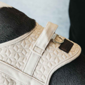 Szelki dla psa Wool Beżowe Szelki dla psa Wool Beżowe