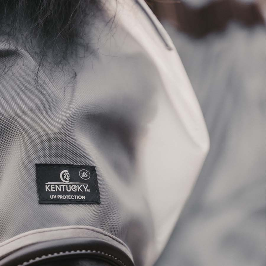 Maska przeciw owadom Classic bez uszu Srebrna