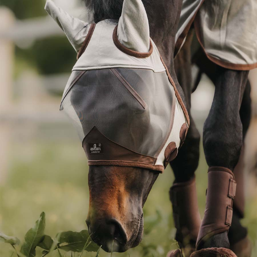 Maska przeciw owadom Classic z uszami Srebrna