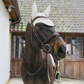 Nauszniki Wellington Plaited Cord Beżowe Nauszniki Wellington Plaited Cord Beżowe