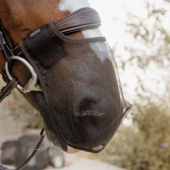 Siatka na nos Anti Fly Brązowa