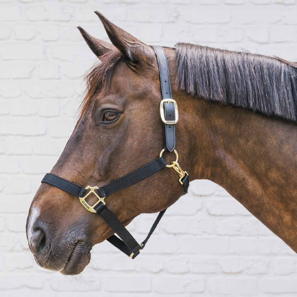 Kantar Breakaway Czarny