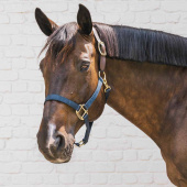 Kantar Breakaway Granatowy Kantar Breakaway Granatowy