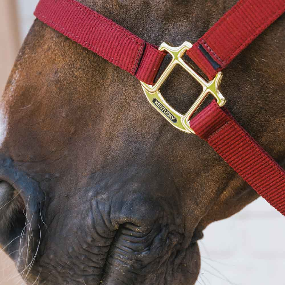 Kantar Breakaway Bordowy