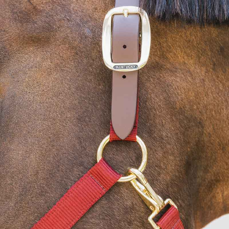 Kantar Breakaway Bordowy