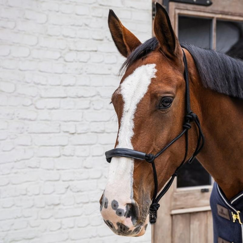 Kantar sznurkowy Grooming Deluxe Czarny