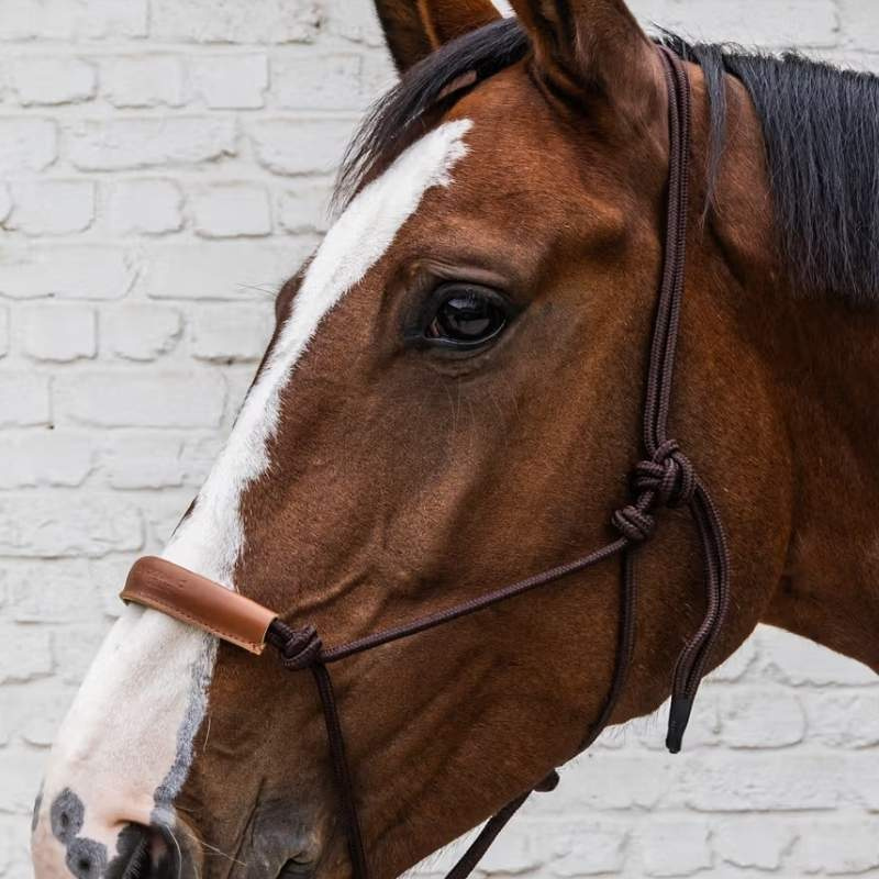Kantar sznurkowy Grooming Deluxe Brązowy