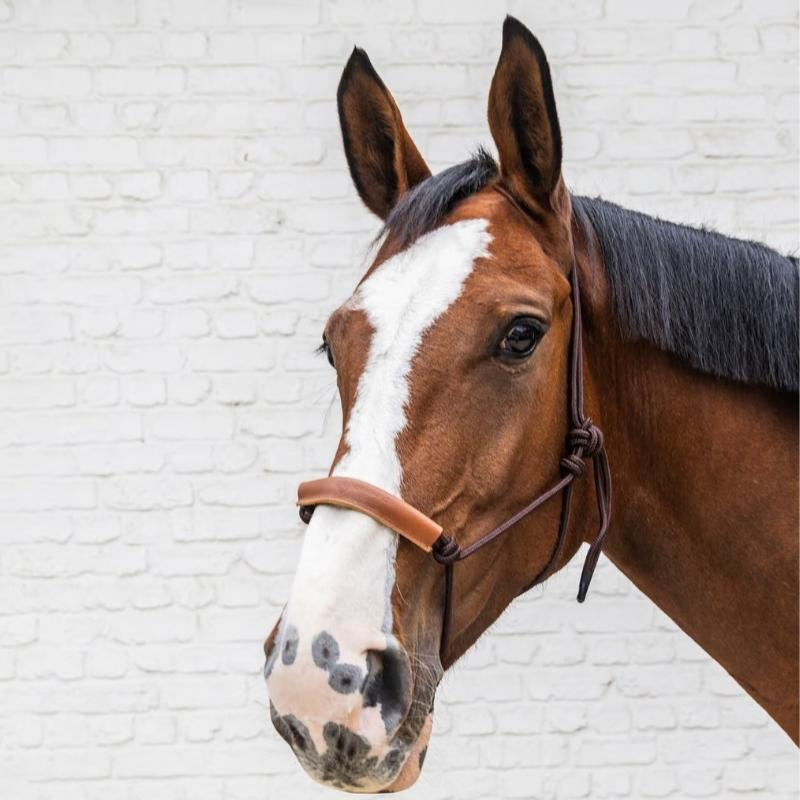 Kantar sznurkowy Grooming Deluxe Brązowy