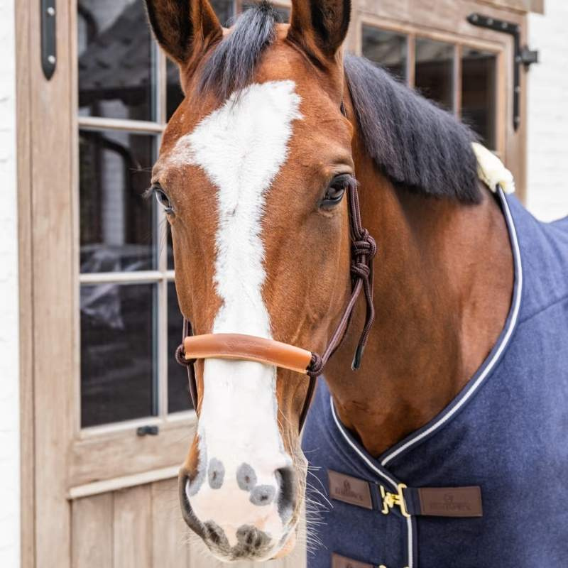 Kantar sznurkowy Grooming Deluxe Brązowy