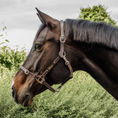 Kantar skórzany Artificial Anatomic Flexible Brązowy Kantar skórzany Artificial Anatomic Flexible Brązowy