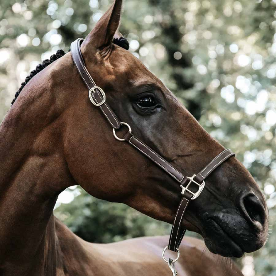 Kantar skórzany Artificial Anatomic Flexible Brązowy