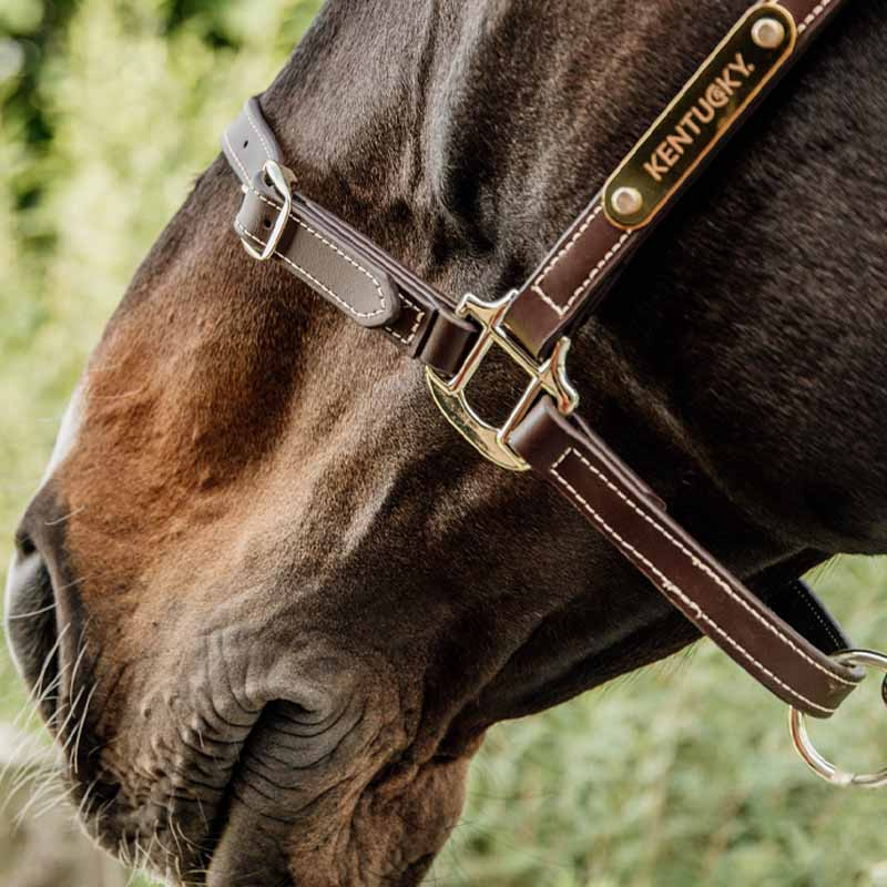 Kantar skórzany Artificial Anatomic Flexible Brązowy