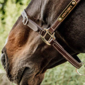 Kantar skórzany Artificial Anatomic Flexible Brązowy Kantar skórzany Artificial Anatomic Flexible Brązowy