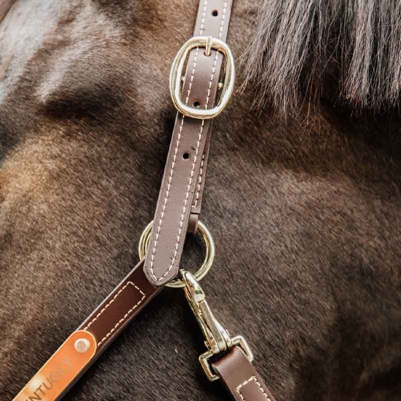 Kantar skórzany Artificial Anatomic Flexible Brązowy