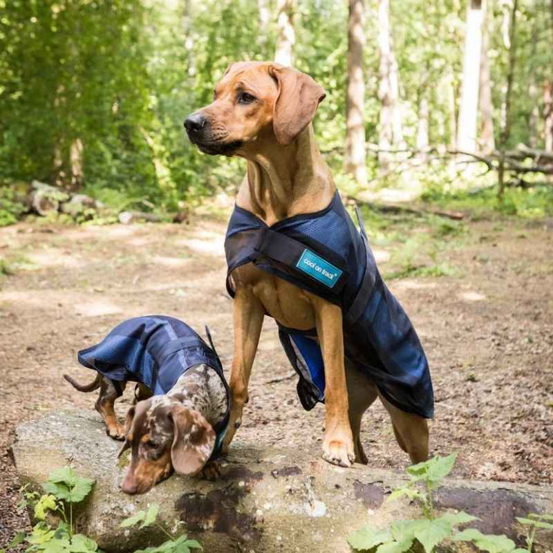 Derka chłodząca dla psa Cool on Track 2.0 Niebieska