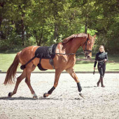 Czaprak ujeżdżeniowy Fir-Tech z elastycznymi paskami Czarny Czaprak ujeżdżeniowy Fir-Tech z elastycznymi paskami Czarny