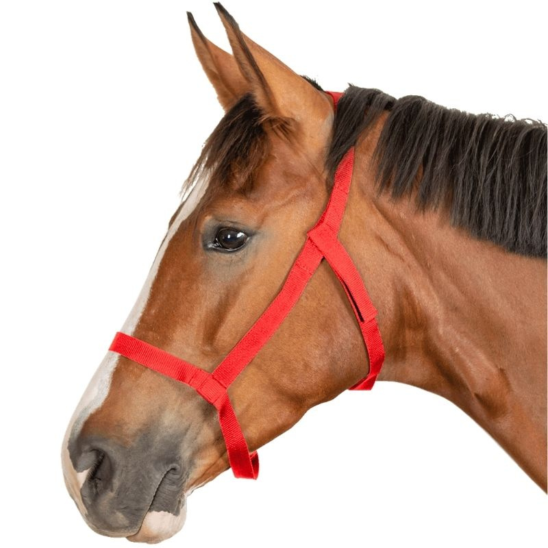 Kantar pastwiskowy Grazing Czerwony