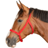 Kantar pastwiskowy Grazing Czerwony Kantar pastwiskowy Grazing Czerwony