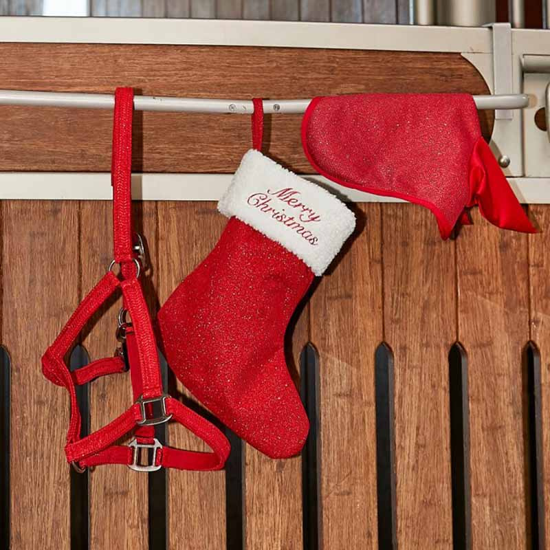 Skarpeta świąteczna Merry Christmas Glitter HG Czerwono/Biała