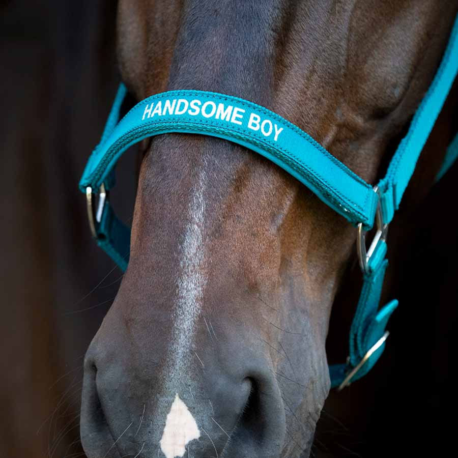 Kantar Malva HG Turkusowy