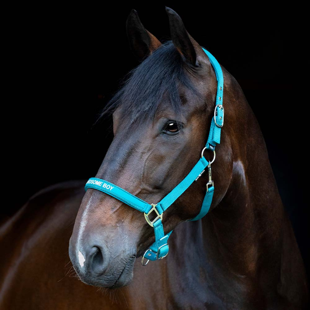 Kantar Malva HG Turkusowy