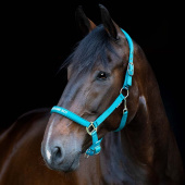 Kantar Malva HG Turkusowy Kantar Malva HG Turkusowy