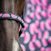 Kantar Watermelon HG Granatowy Kantar Watermelon HG Granatowy