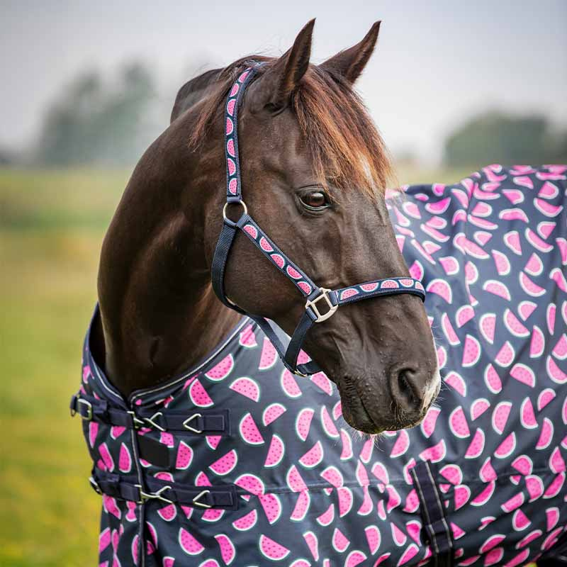 Kantar Watermelon HG Granatowy