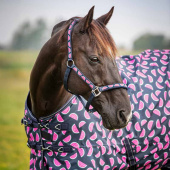 Kantar Watermelon HG Granatowy Kantar Watermelon HG Granatowy