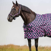 Kantar Watermelon HG Granatowy Kantar Watermelon HG Granatowy