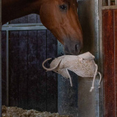 Zabawka dla koni Horse w zamszu ECO Jasnoszara Zabawka dla koni Horse w zamszu ECO Jasnoszara