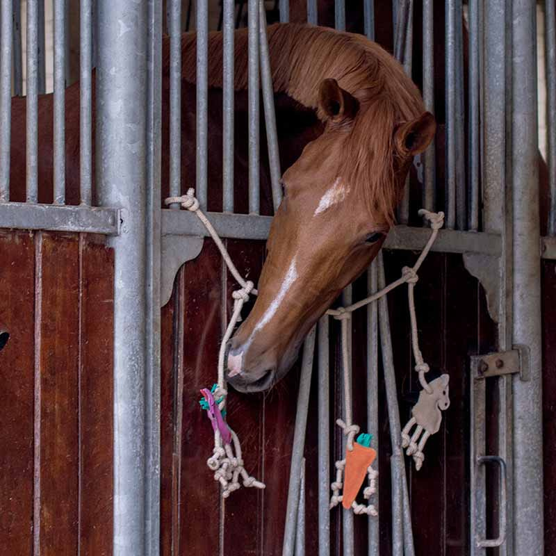 Zabawka Box Hanger zamszowa