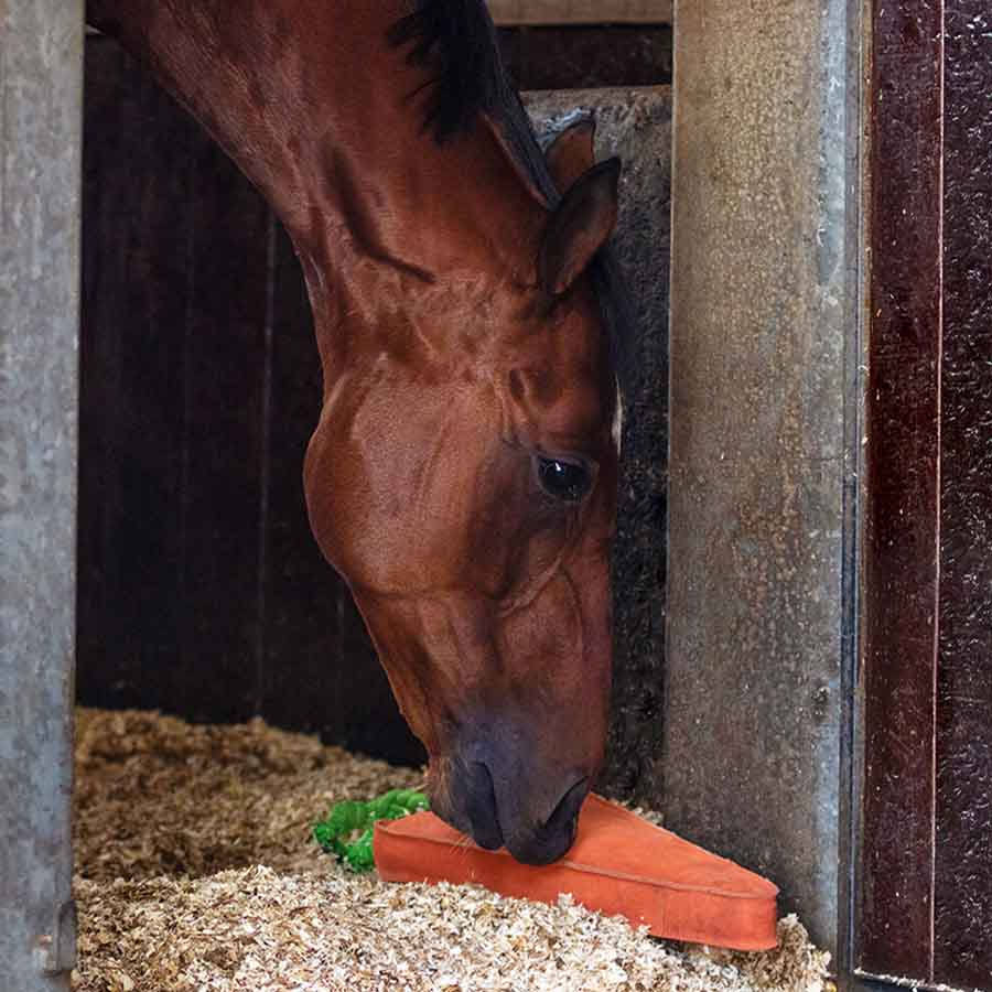 Zabawka dla koni Carrot XL w zamszu ECO Pomarańczowa