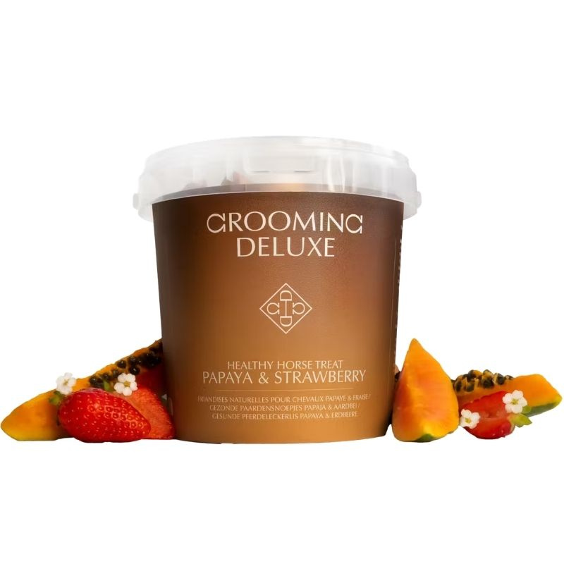 Smakołyki Healthy Horse Treats Papaya & Strawberry 500g